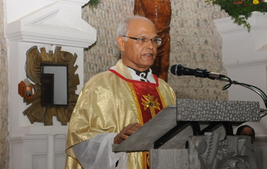 Mount Carmel Feast at Infant Jesus Church